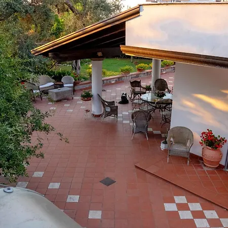 Irma Bed & Breakfast 3*