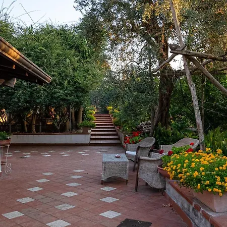 Irma Bed & Breakfast