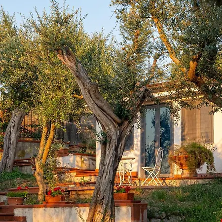 Bed & Breakfast Irma