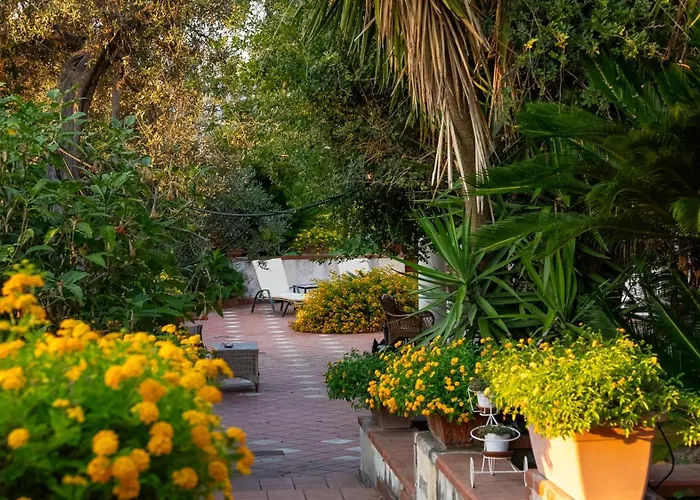 Bed and breakfast Irma